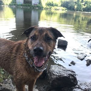 Meet your Posher, Chloe